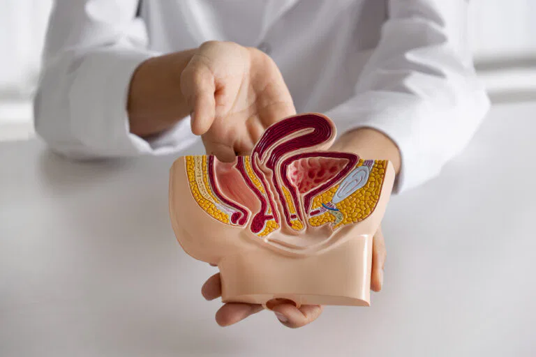 أسعار عمليات الأشعة التداخلية للبروستاتا